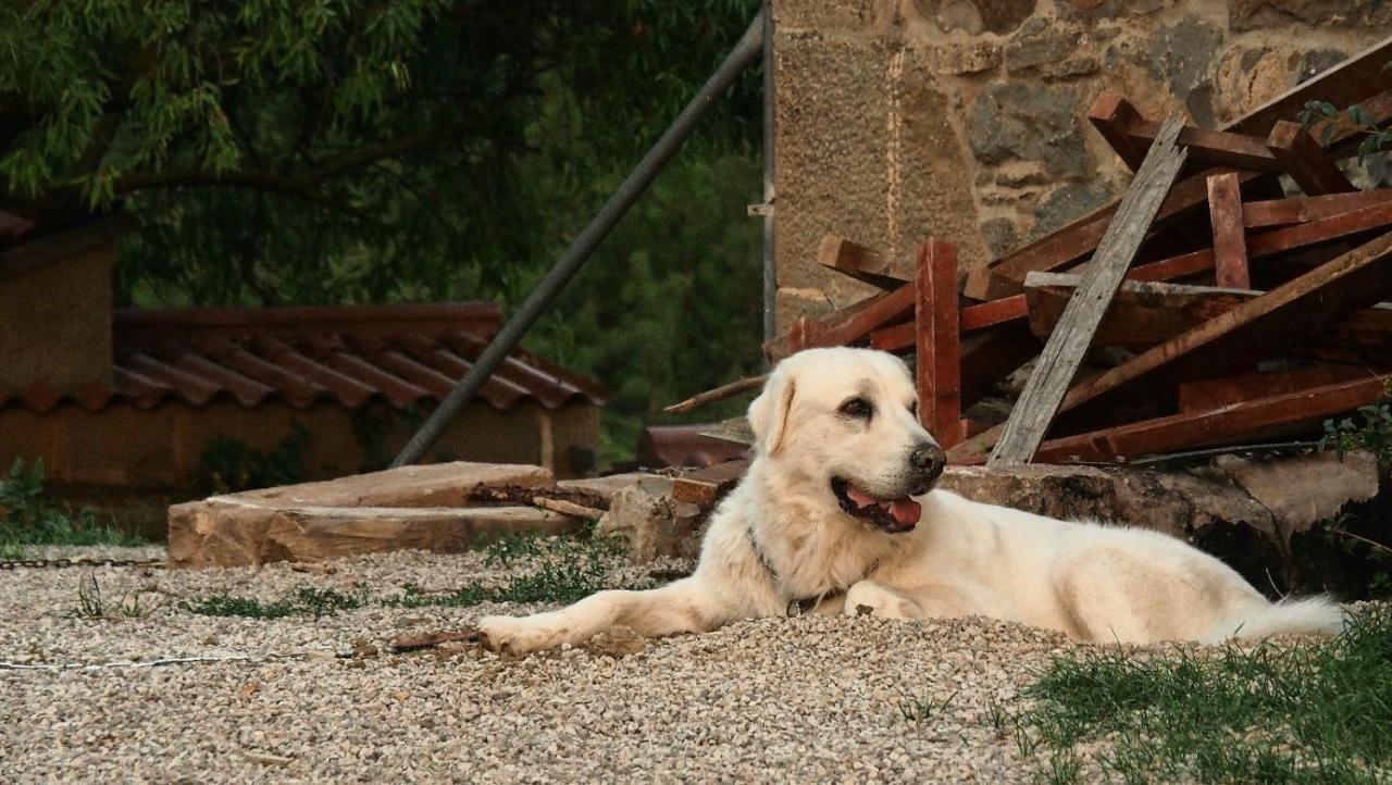 Masia La Clariana Castelltallat Экстерьер фото
